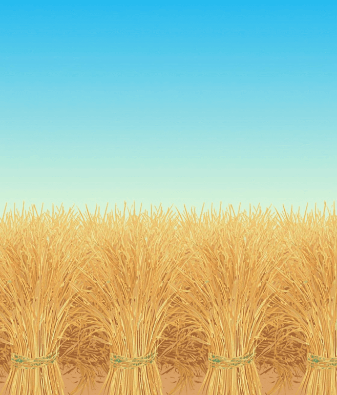 Rice Straw Raw Material